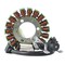 Rmstator Generator Stator for Yamaha YFZ 450 X/YFZ 450 R 2009-2024 OEM# 18P-81410-00-00 RM01493 - alternate 4